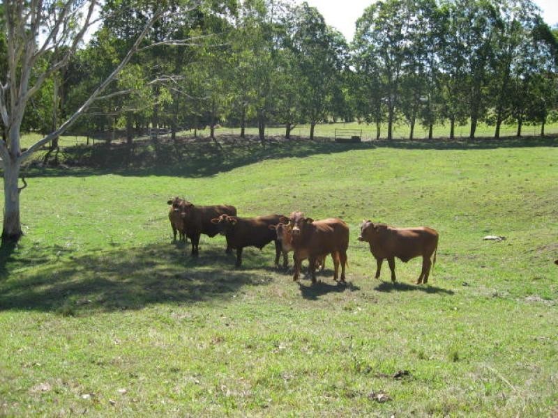Mothar Mountain QLD 4570