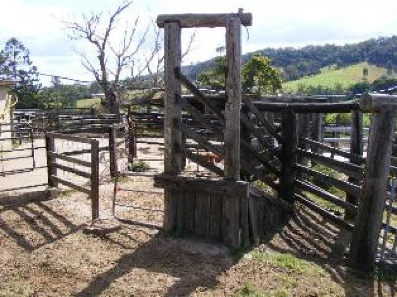 Mothar Mountain QLD 4570