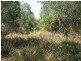 Lot 4/4450 Bruce Hwy, Bauple QLD 4650