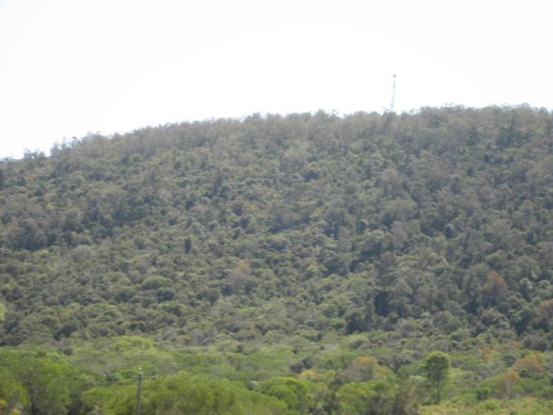 Lot 4/4450 Bruce Hwy, Bauple QLD 4650