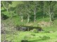 Langshaw QLD 4570