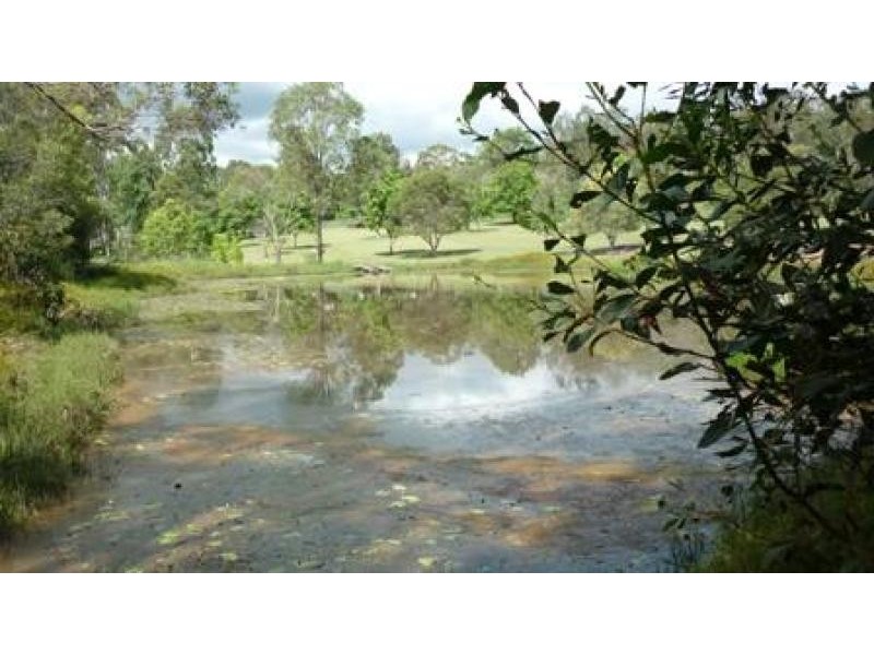 10 Bull St, Gunalda QLD 4570