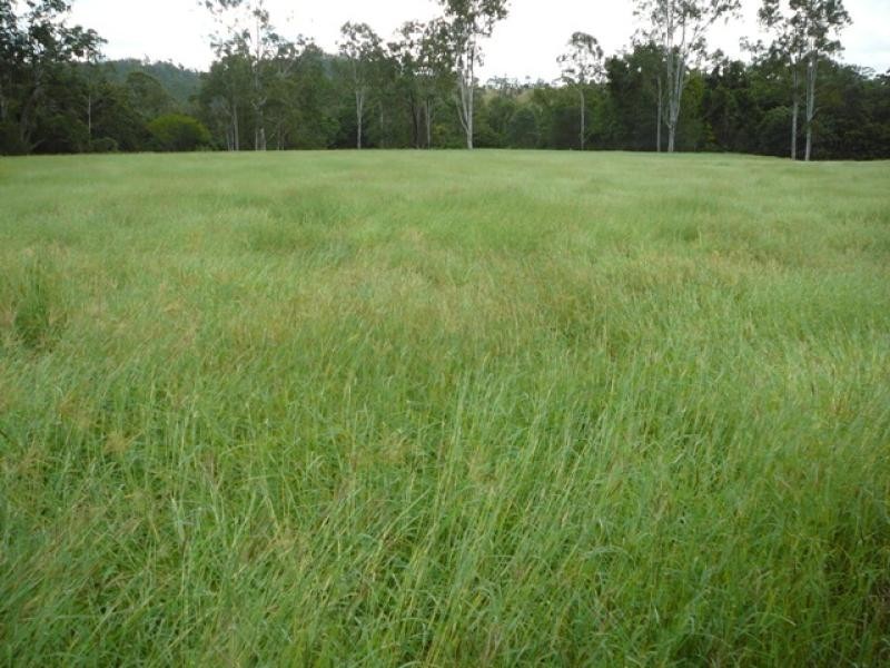 Lower Wonga QLD 4570