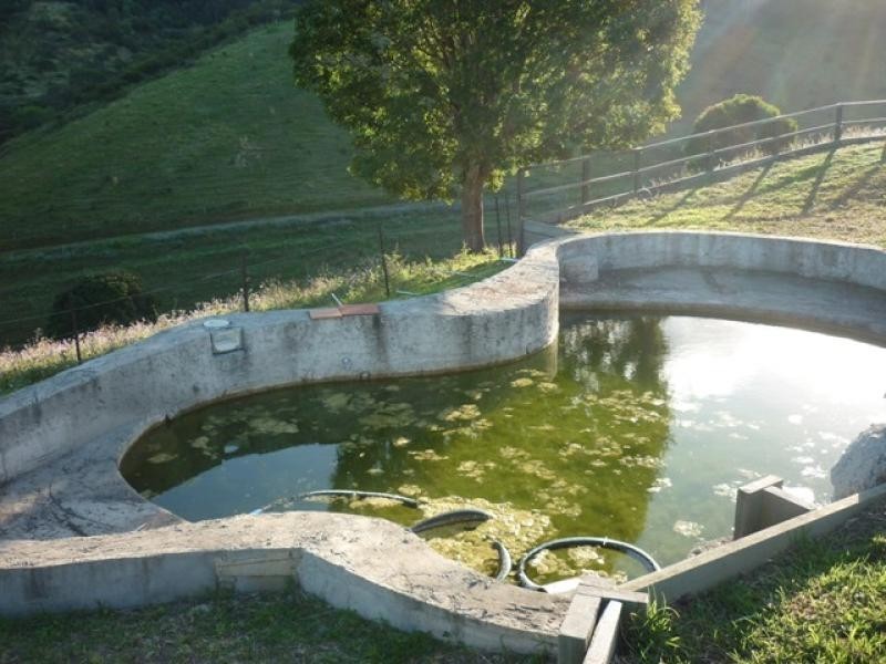 366 Mullins Creek Rd, Goomboorian QLD 4570