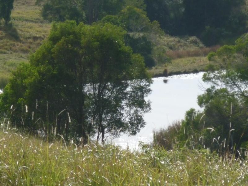 Lot 156/ Clune Rd, Cedar Pocket QLD 4570