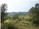 Lot 156/ Clune Rd, Cedar Pocket QLD 4570