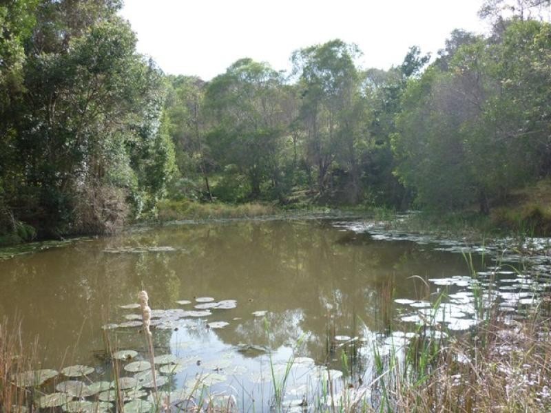Lot 156/ Clune Rd, Cedar Pocket QLD 4570