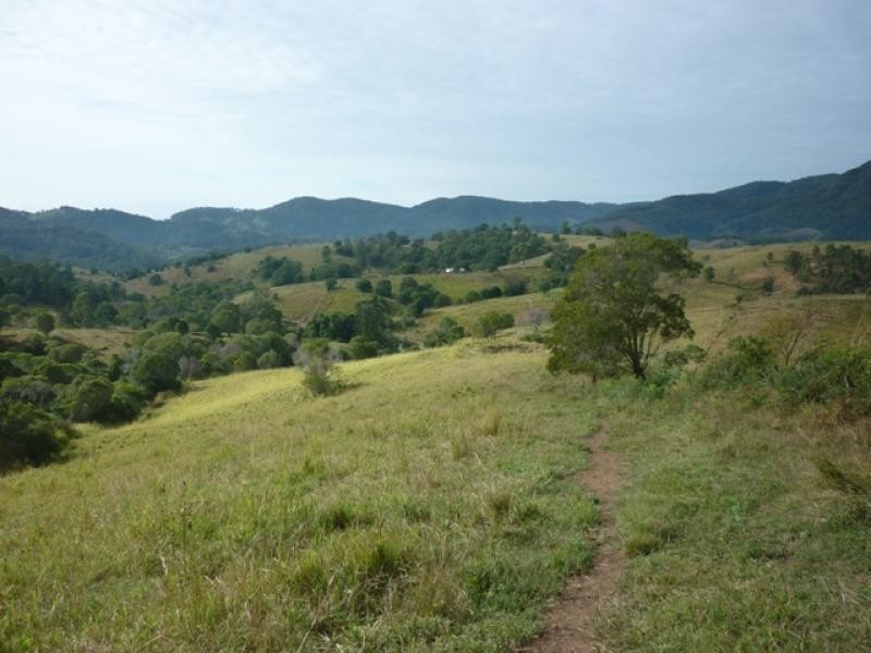 Lot 156/ Clune Rd, Cedar Pocket QLD 4570