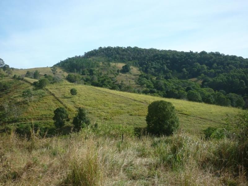 Lot 156/ Clune Rd, Cedar Pocket QLD 4570