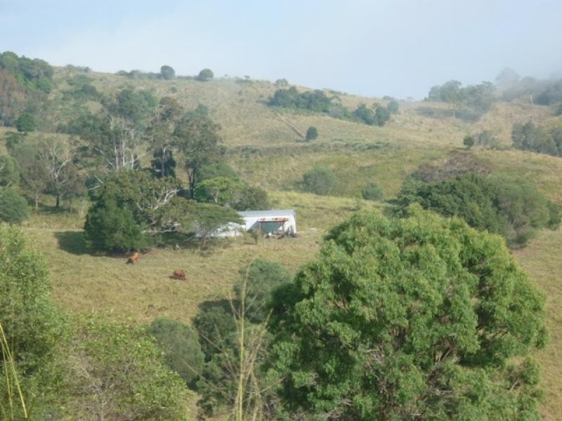 Lot 156/ Clune Rd, Cedar Pocket QLD 4570