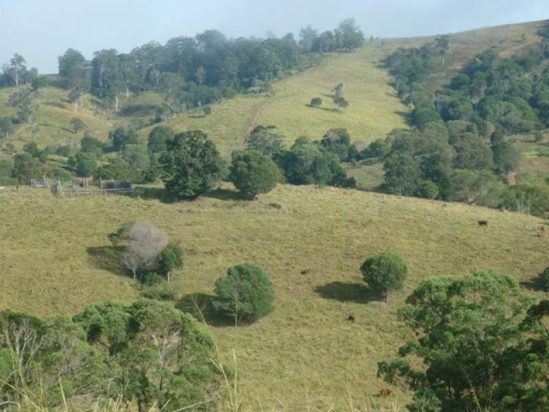 Lot 156/ Clune Rd, Cedar Pocket QLD 4570