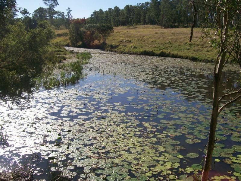 297 Tamaree Road, Tamaree QLD 4570