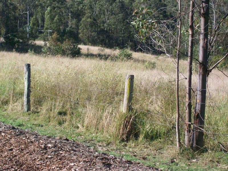 297 Tamaree Road, Tamaree QLD 4570