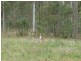 222 Kirsten Drive, Curra QLD 4570