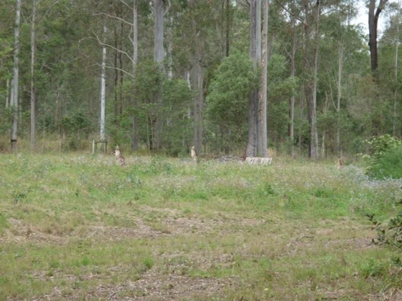 222 Kirsten Drive, Curra QLD 4570