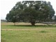 Gunalda QLD 4570