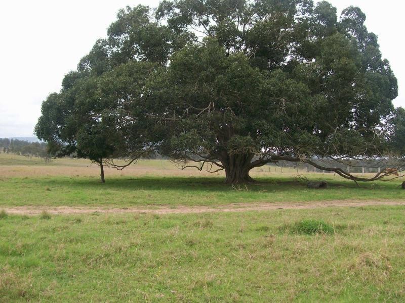 Gunalda QLD 4570