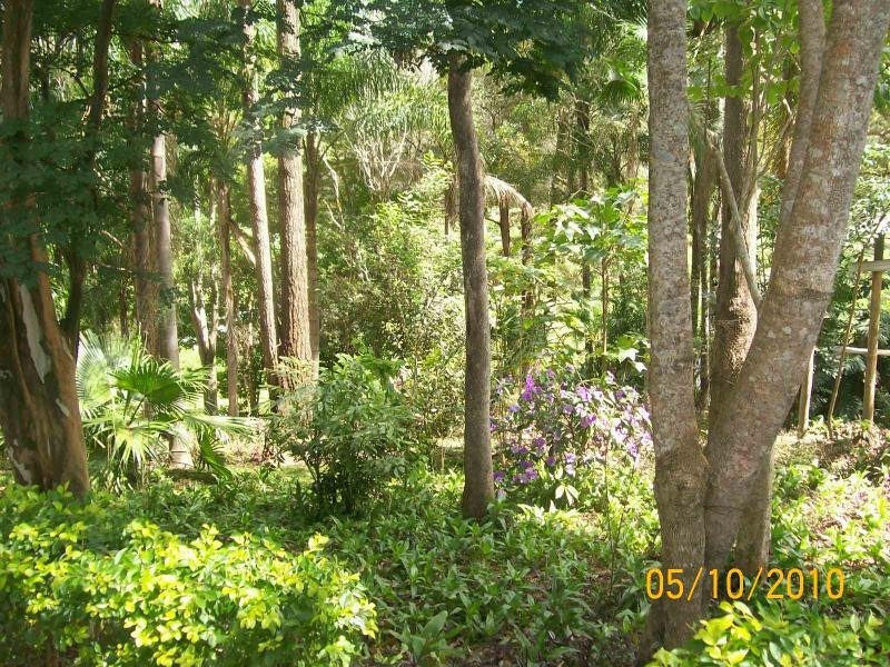 36 Gardner Road, North Deep Creek QLD 4570