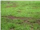 Lot 355/ Arbornine Road, Glenwood QLD 4570