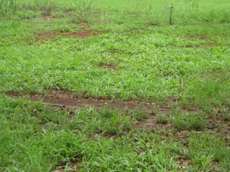 Lot 355/ Arbornine Road, Glenwood QLD 4570