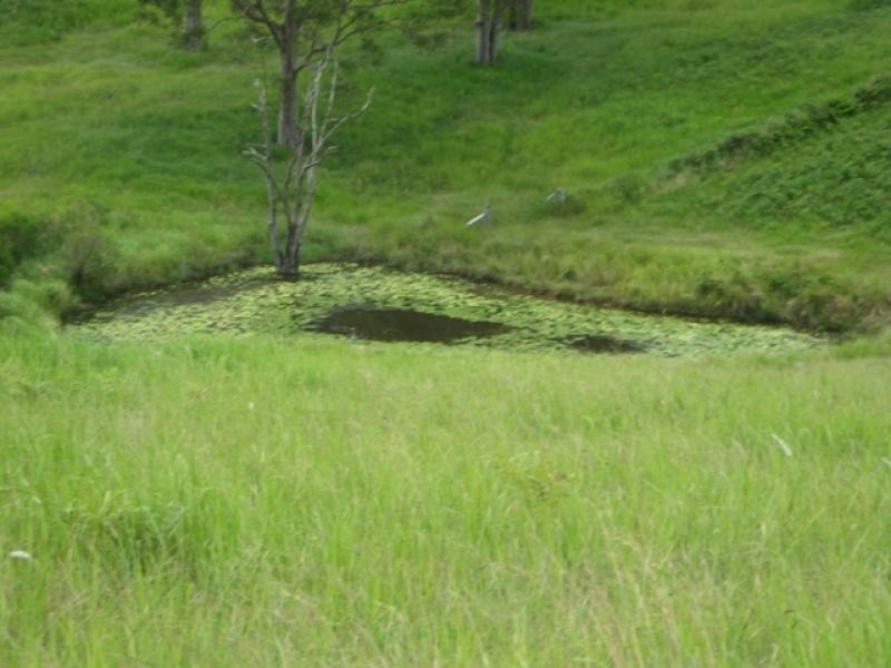 Veteran QLD 4570