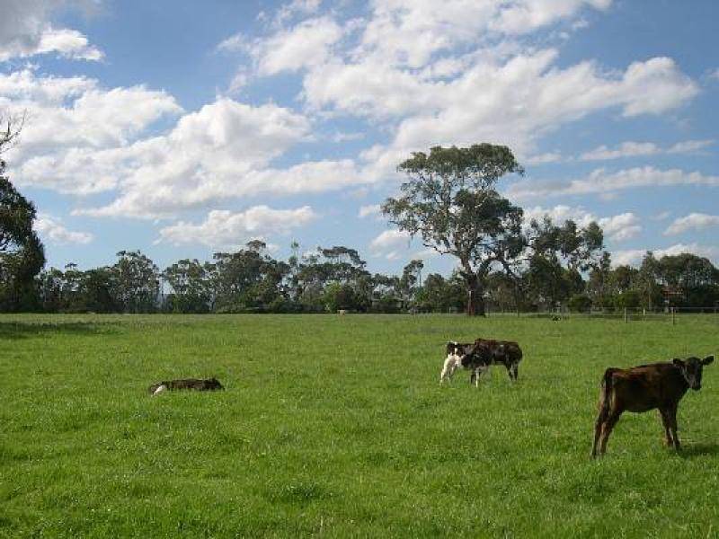 2 CNR JAMES &AMP; GROWSE STREETS, Yarram VIC 3971
