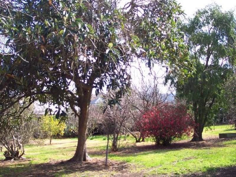 56 Yarram Street, Yarram VIC 3971