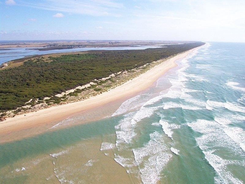 Robertsons Beach VIC 3971