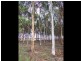 Mcloughlins Beach VIC 3874