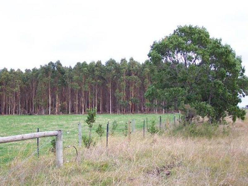 Mcloughlins Beach VIC 3874