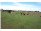 5868 Old Sale Road, Yarram VIC 3971