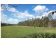 59 HARRAPS ROAD, Binginwarri VIC 3966