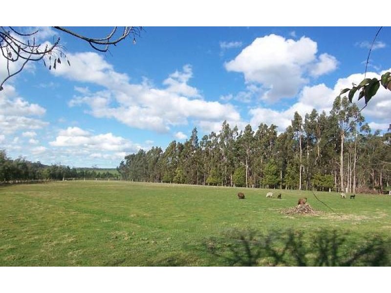59 HARRAPS ROAD, Binginwarri VIC 3966