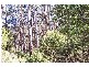 200 HEDLEY RANGE ROAD, Binginwarri VIC 3966