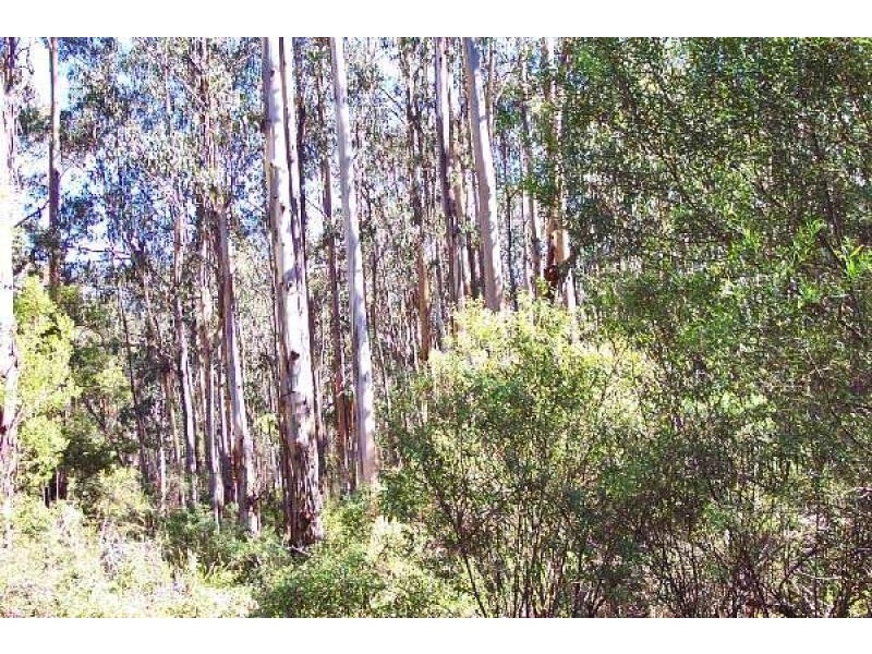 200 HEDLEY RANGE ROAD, Binginwarri VIC 3966