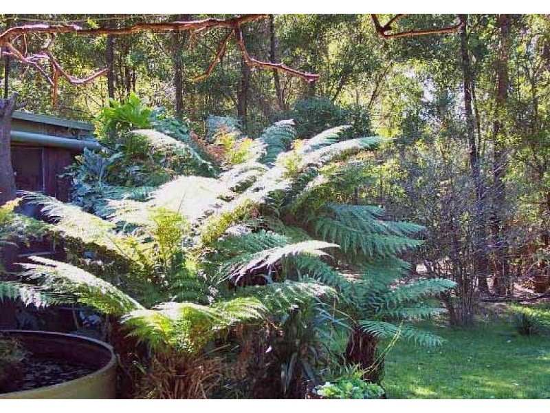 200 HEDLEY RANGE ROAD, Binginwarri VIC 3966