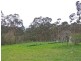 312 Hedley Range Road, Binginwarri VIC 3966