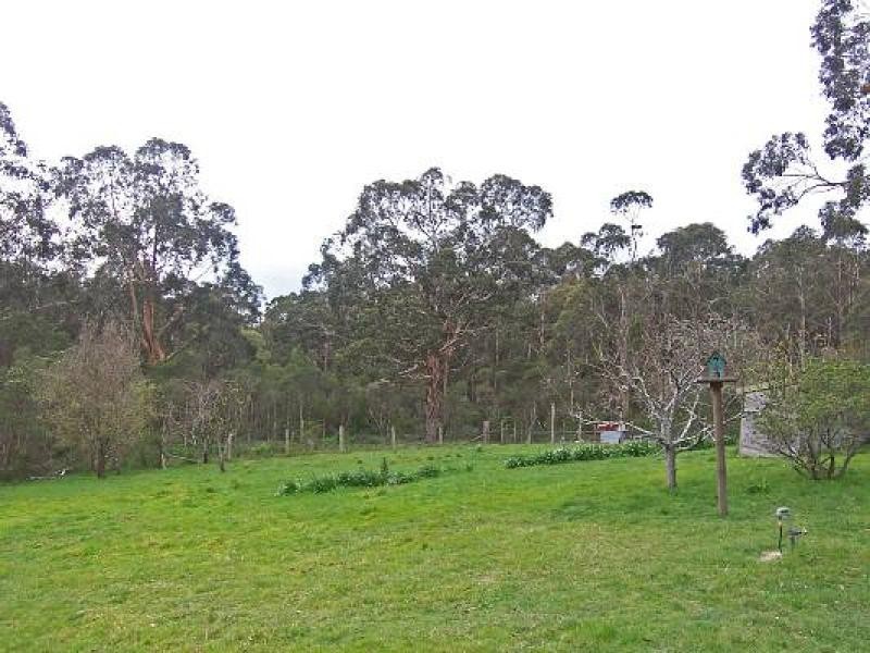 312 Hedley Range Road, Binginwarri VIC 3966