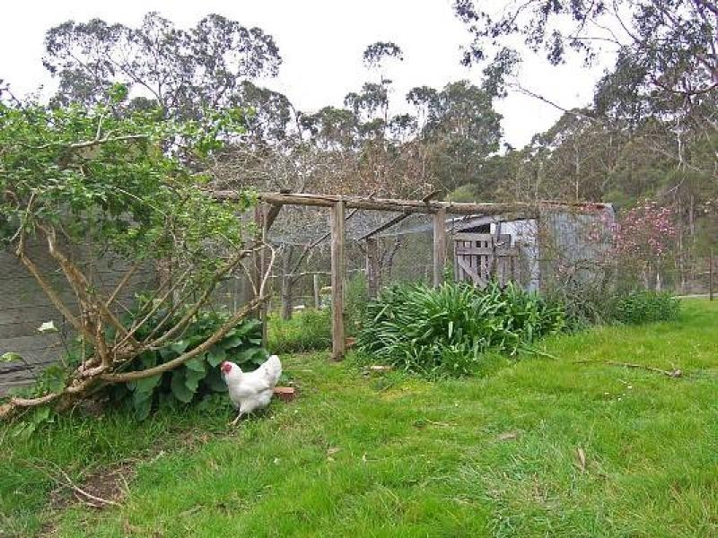 312 Hedley Range Road, Binginwarri VIC 3966