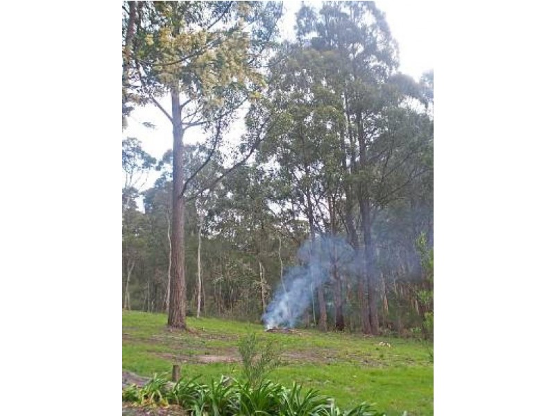 312 Hedley Range Road, Binginwarri VIC 3966