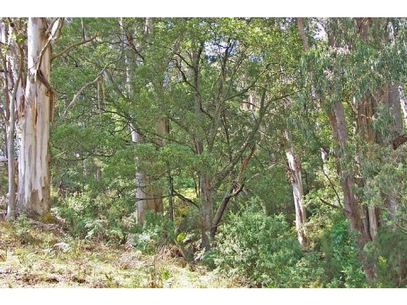 . CARRAJUNG LOWER ROAD, Carrajung VIC 3844