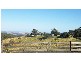 528 OLD WHITELAWS TRACK, Devon North VIC 3971