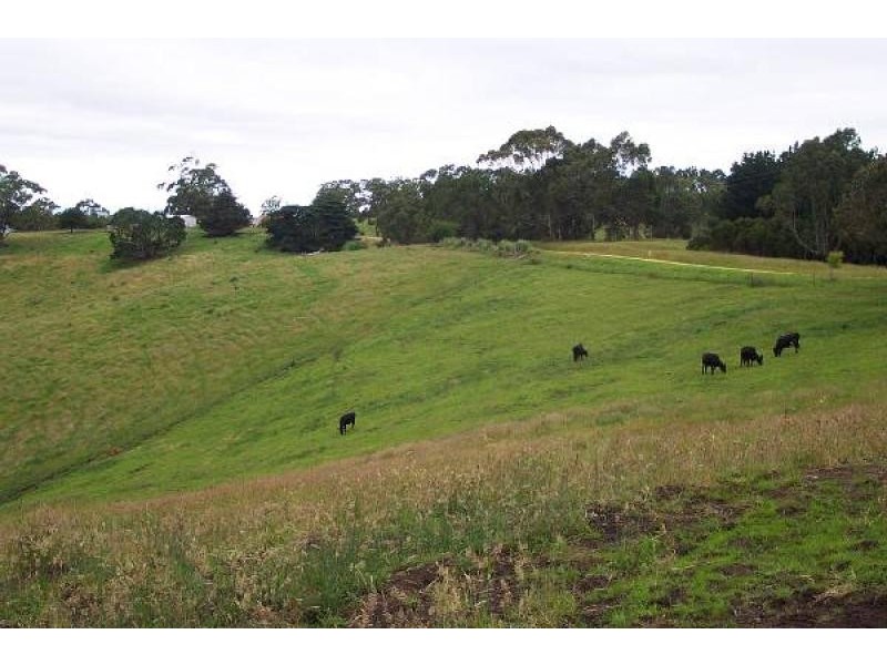528 OLD WHITELAWS TRACK, Devon North VIC 3971