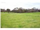 560 Telegraph Road, Hedley VIC 3967
