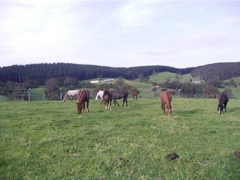 482 Old Whitelaws Track, Devon North VIC 3971