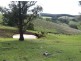 482 Old Whitelaws Track, Devon North VIC 3971