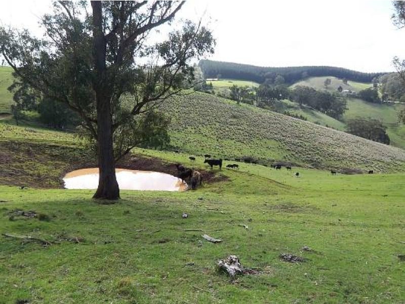 482 Old Whitelaws Track, Devon North VIC 3971