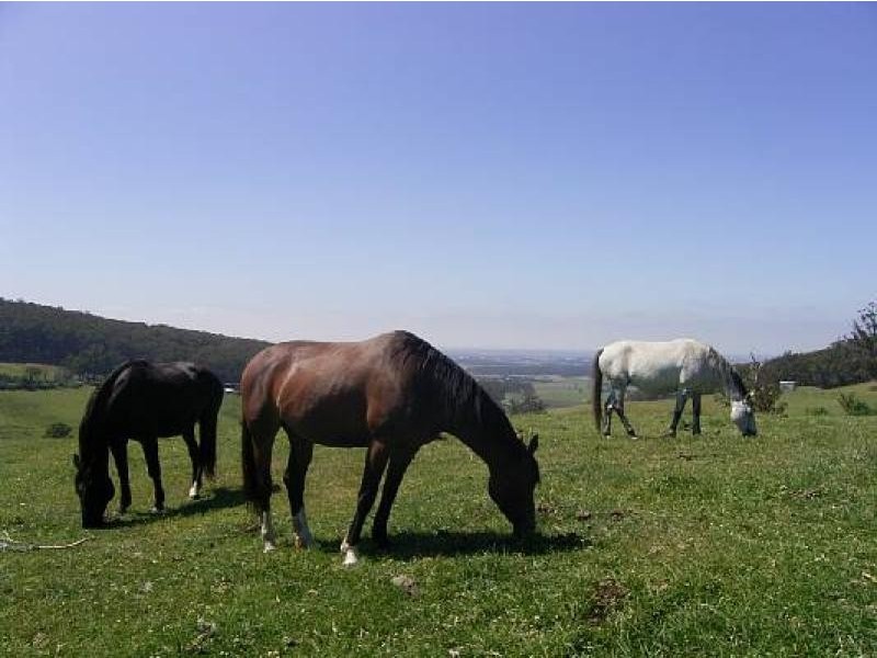 482 Old Whitelaws Track, Devon North VIC 3971
