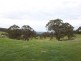 482 Old Whitelaws Track, Devon North VIC 3971