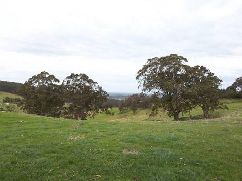 482 Old Whitelaws Track, Devon North VIC 3971